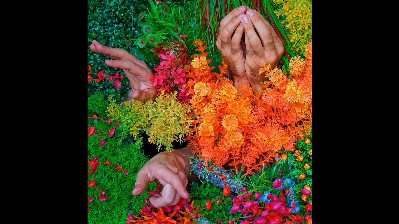 Anxious Party People - Blood, Wine Or Honey