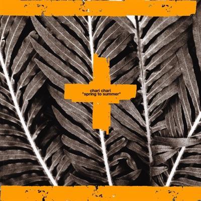Keep On Flowin' EP - Chari Chari
