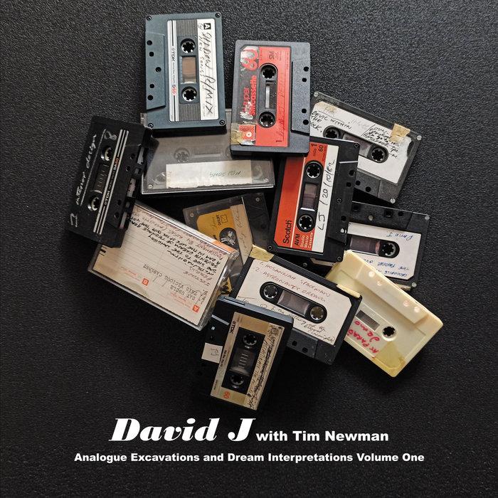 Analogue Excavations & Dream Interpretations Vol.1 - David J with Tim Newman