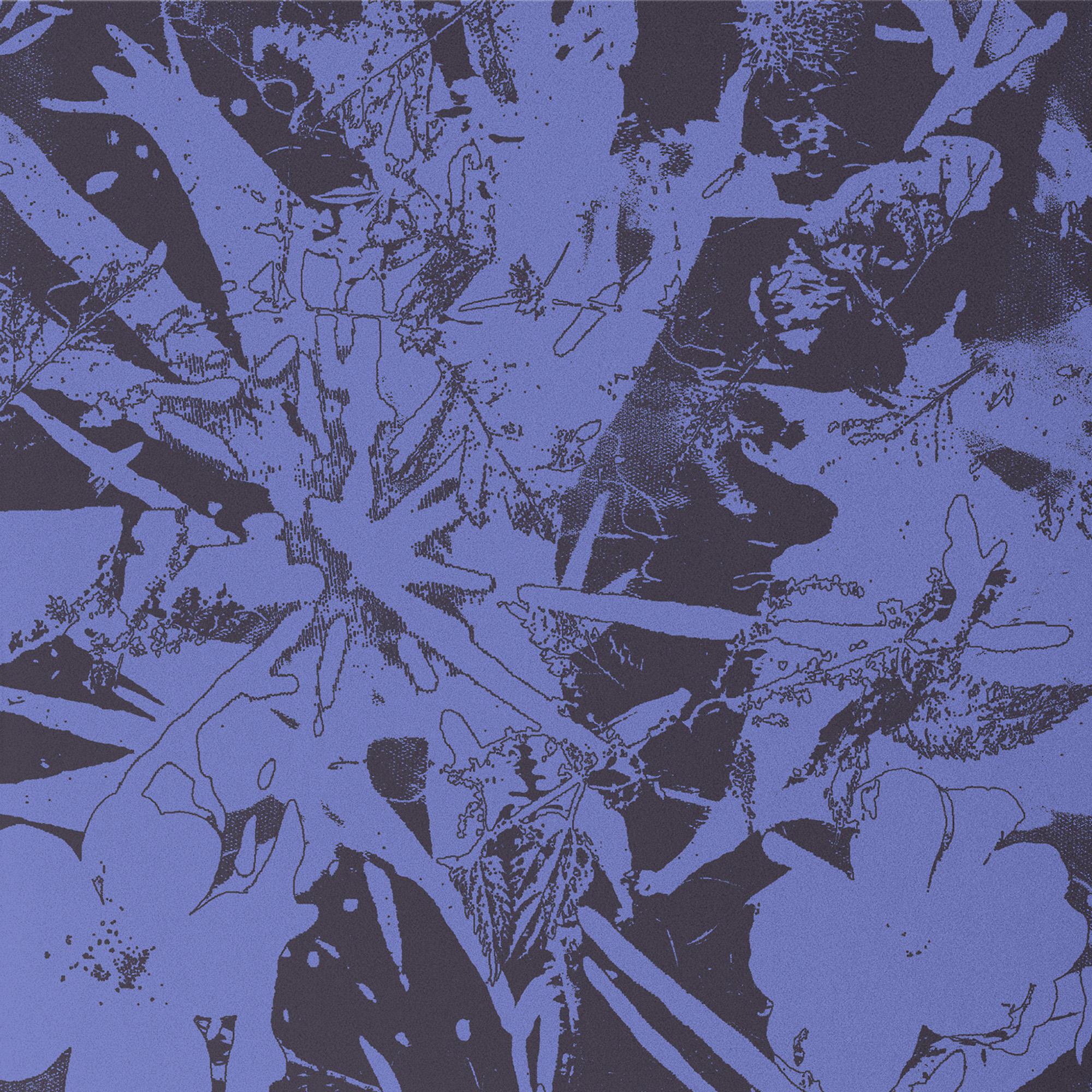 Forest Dwellers - Plants Heal