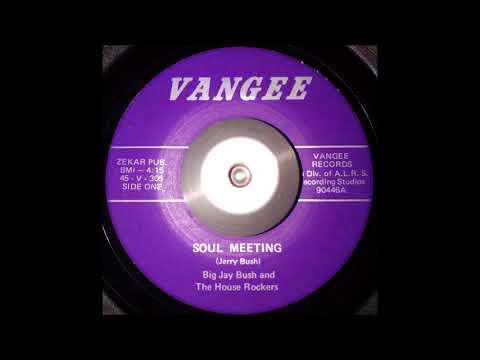 7" - Big Jay Bush and The House Rockers