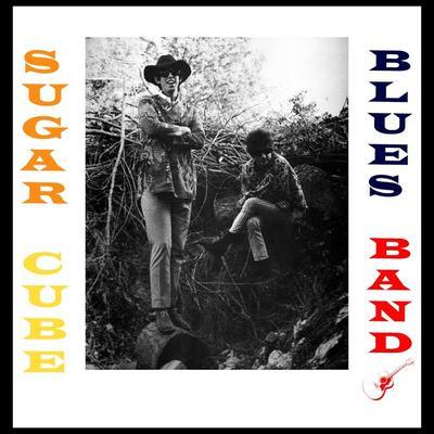  - The Sugar Cube Blues Band 