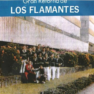  - Los Flamantes