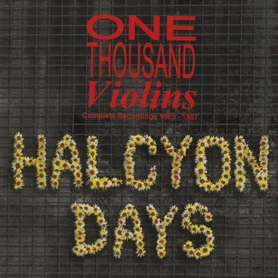  - One Thousand Violins