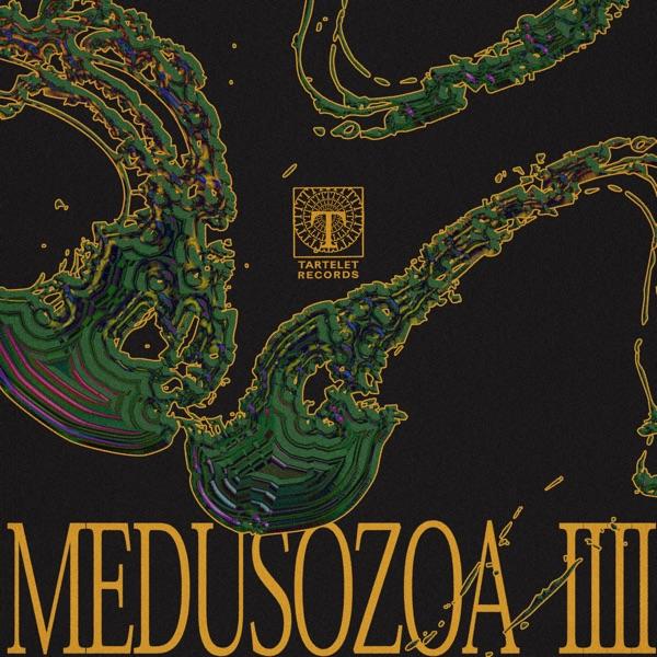 Medusozoa Vol. IIII - Jeppe Wolmer