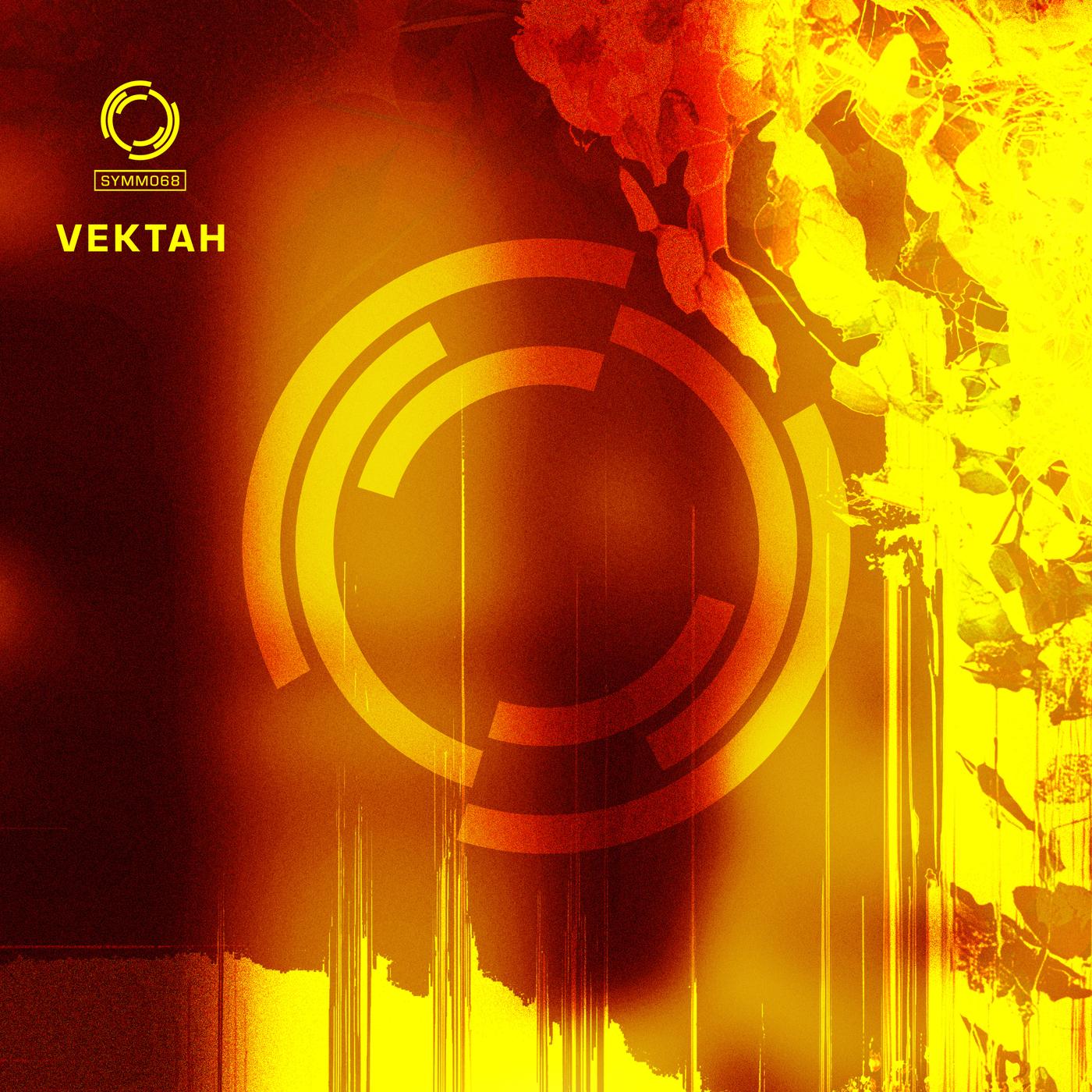 Can I Get Your Attention / The Love We Share - Vektah