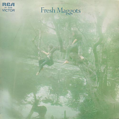 Fresh Maggots... Hatched - Fresh Maggots
