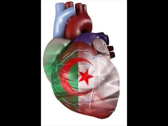  - oo Cheb Nourredine Staifi