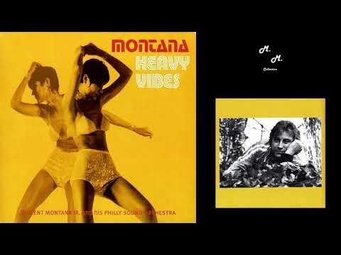 Montana: Heavy Vibes [Disc 2] - [Temposphere Tsph 1400 DCD] [2002] - Montana Orchestra