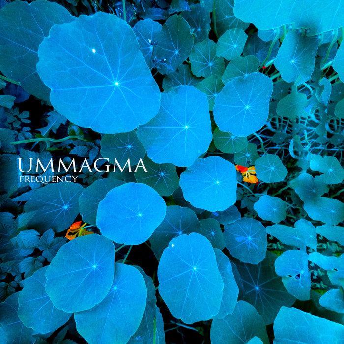 Frequency - Ummagma
