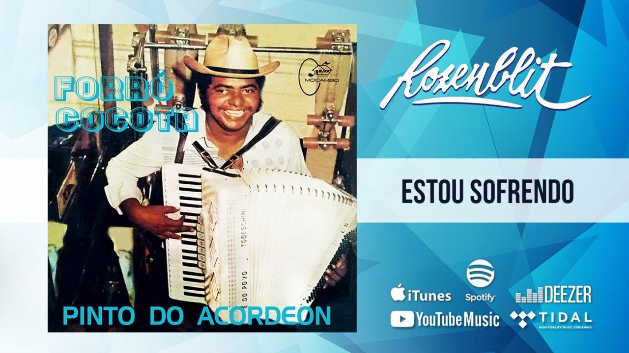 - Pinto do Acordeon