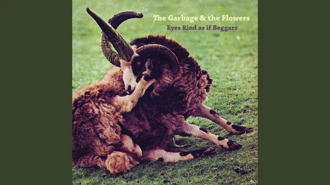 Eyes Rind as if Beggars - The Garbage & The Flowers