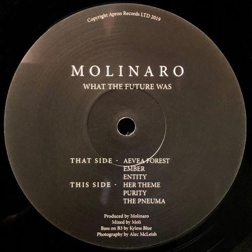 What The Future Was - Molinaro