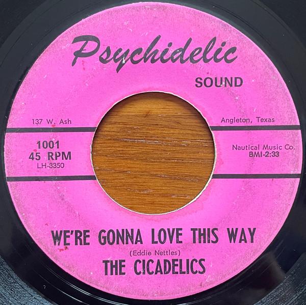  - The Cicadelics