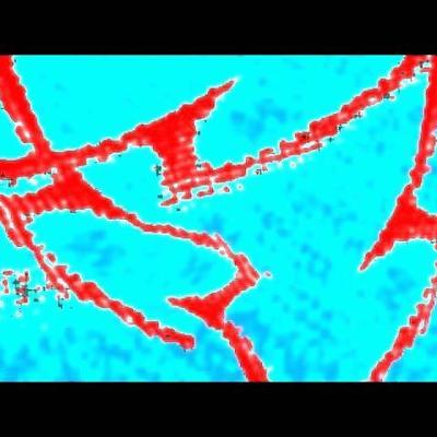 Supplementary Benefit - Storm Bugs