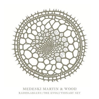  - Medeski Martin & Wood