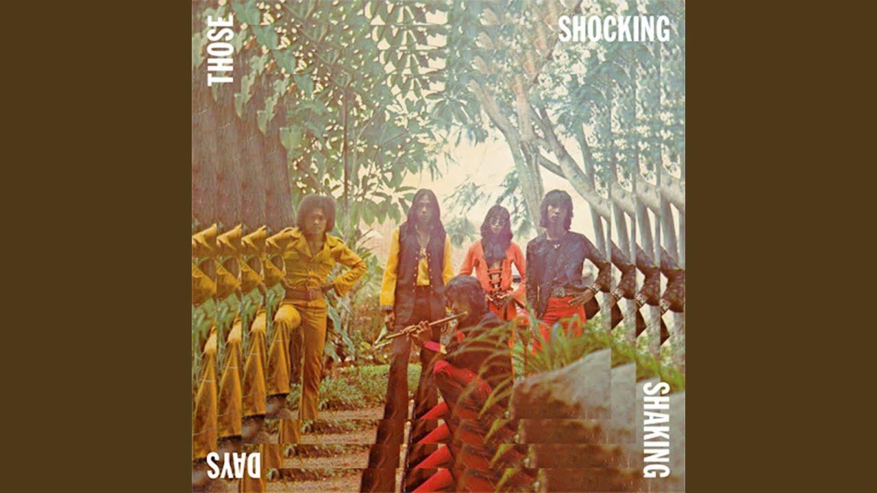VA - Those Shocking Shaking Days - The Black Brothers