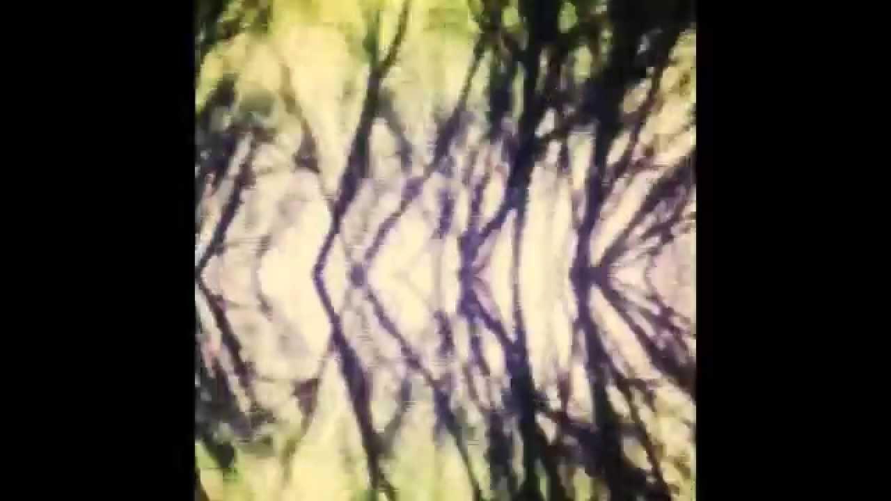 Music For Six Rooms - Hoavi