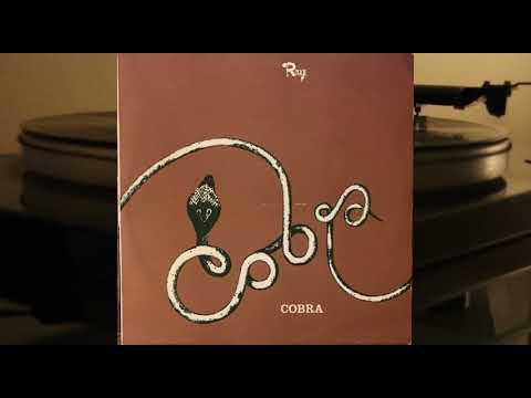Cobra - Simon Haseley & Eric Marving