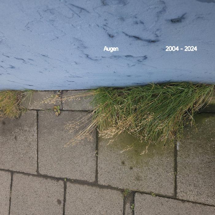 2004 - 2024 - Augen