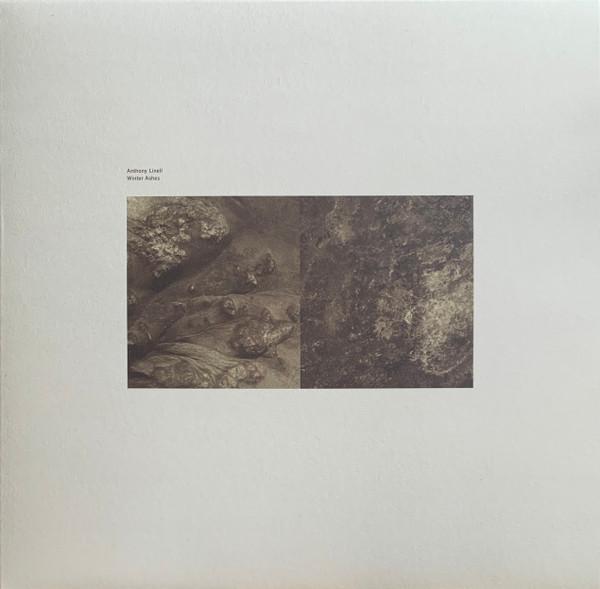 Winter Ashes - Anthony Linell