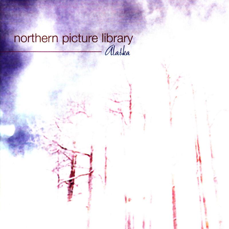 Love Song For The Dead Ché - Northern Picture Library