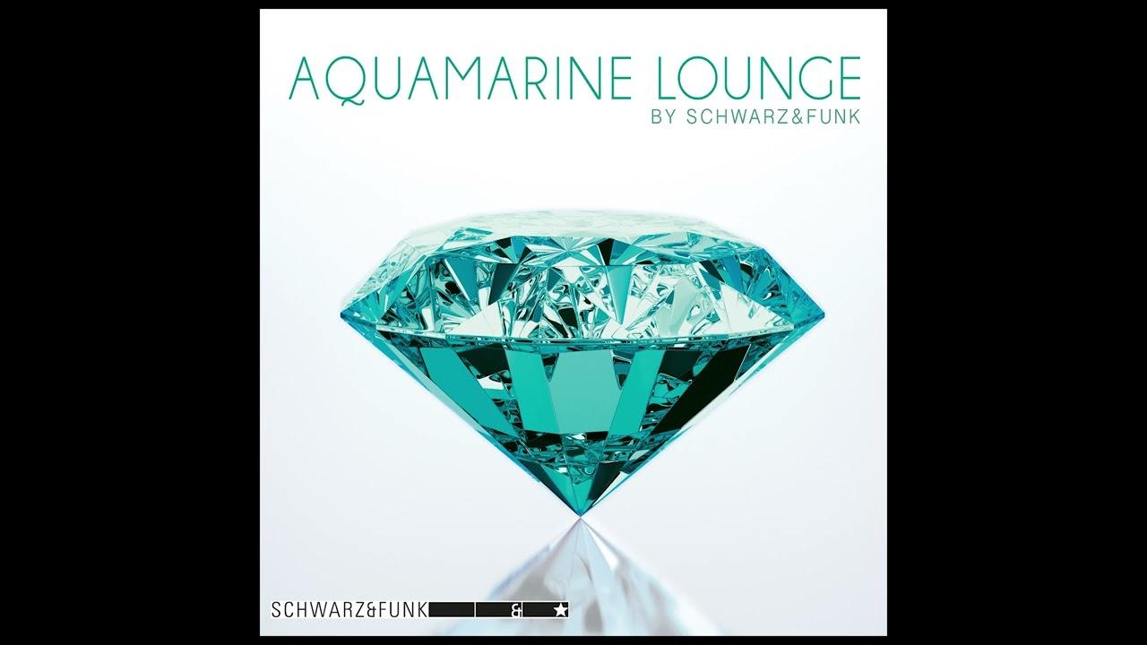  - schwarz-and-funk