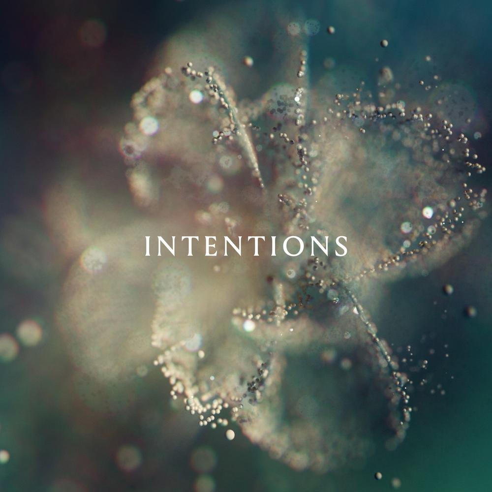 ANNA 'Intentions' (Incl. Jon Hopkins + Max Cooper Remixes) [MERCURY KX] - ANNA
