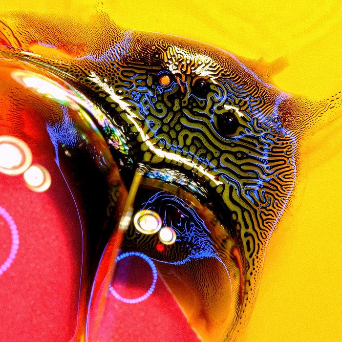 Dolphin - tennyson & leslie