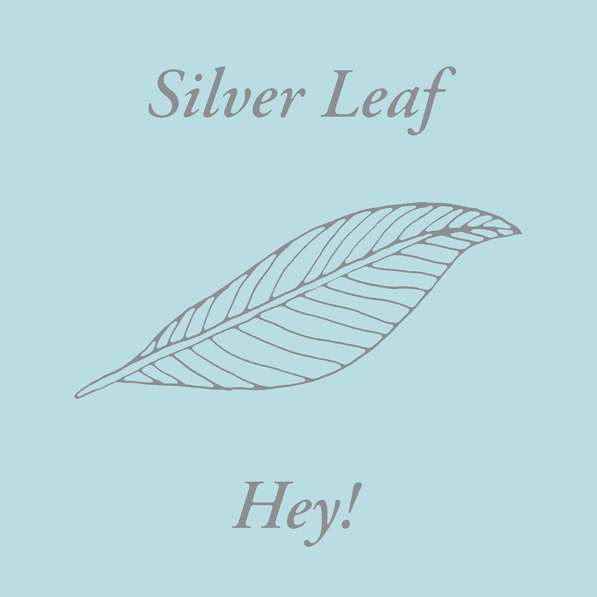 Hey! - Silver Leaf