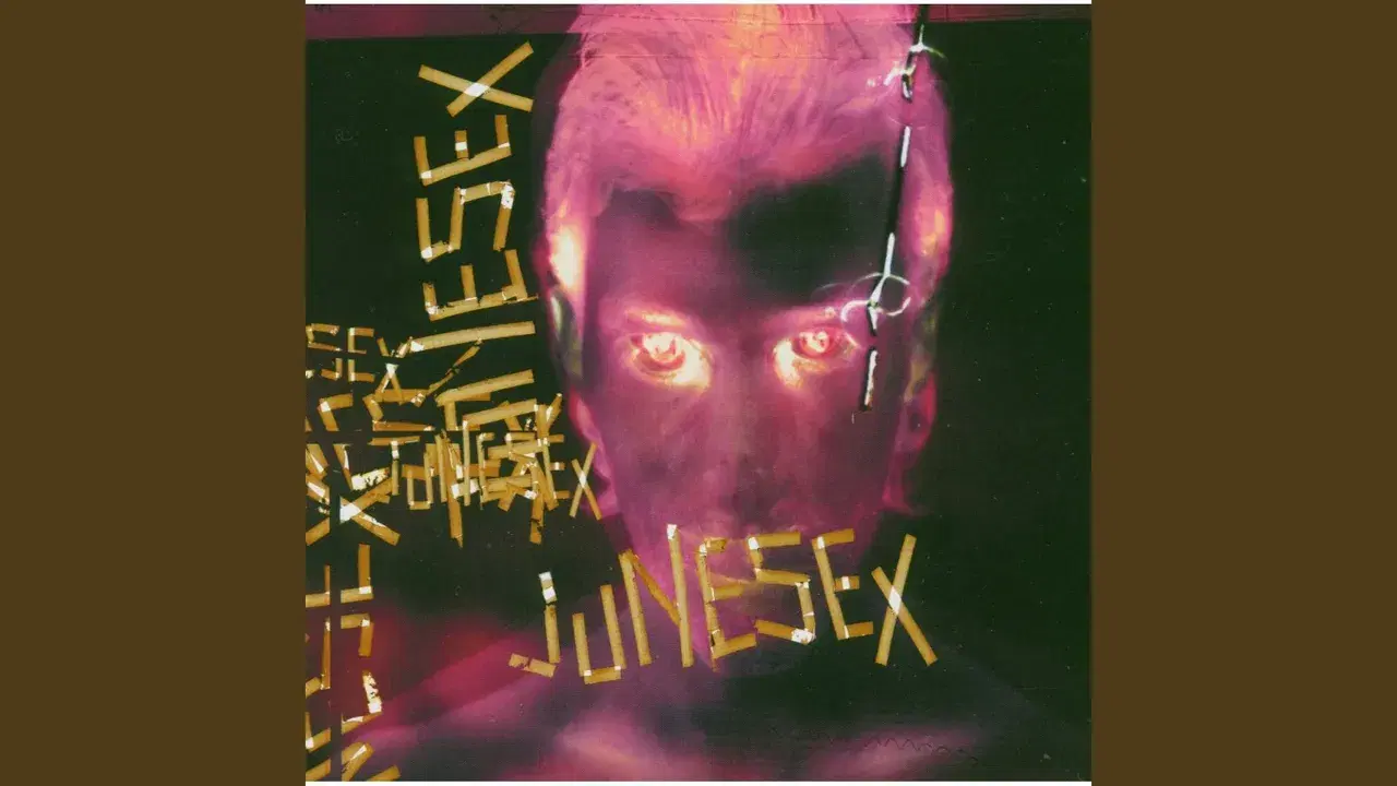 So Fucking Chic - Junesex