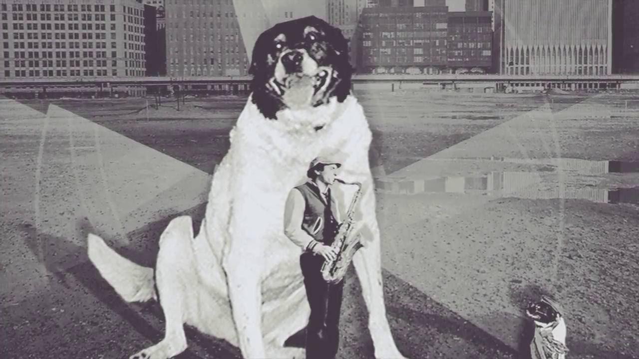 Fat Doggie - Greg Alper Band