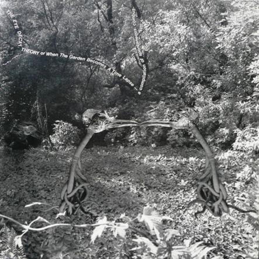 The Eye Decay Theory Or When The Garden Becomes A Time Lapse (A Compilation Of Spontaneous Combustion Witnesses) - Vrischika