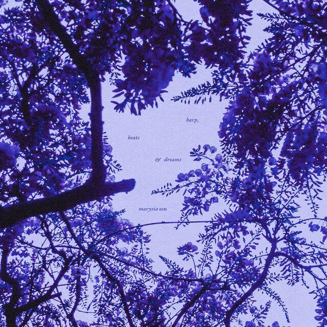 harp, beats, & dreams - Marysia Osu