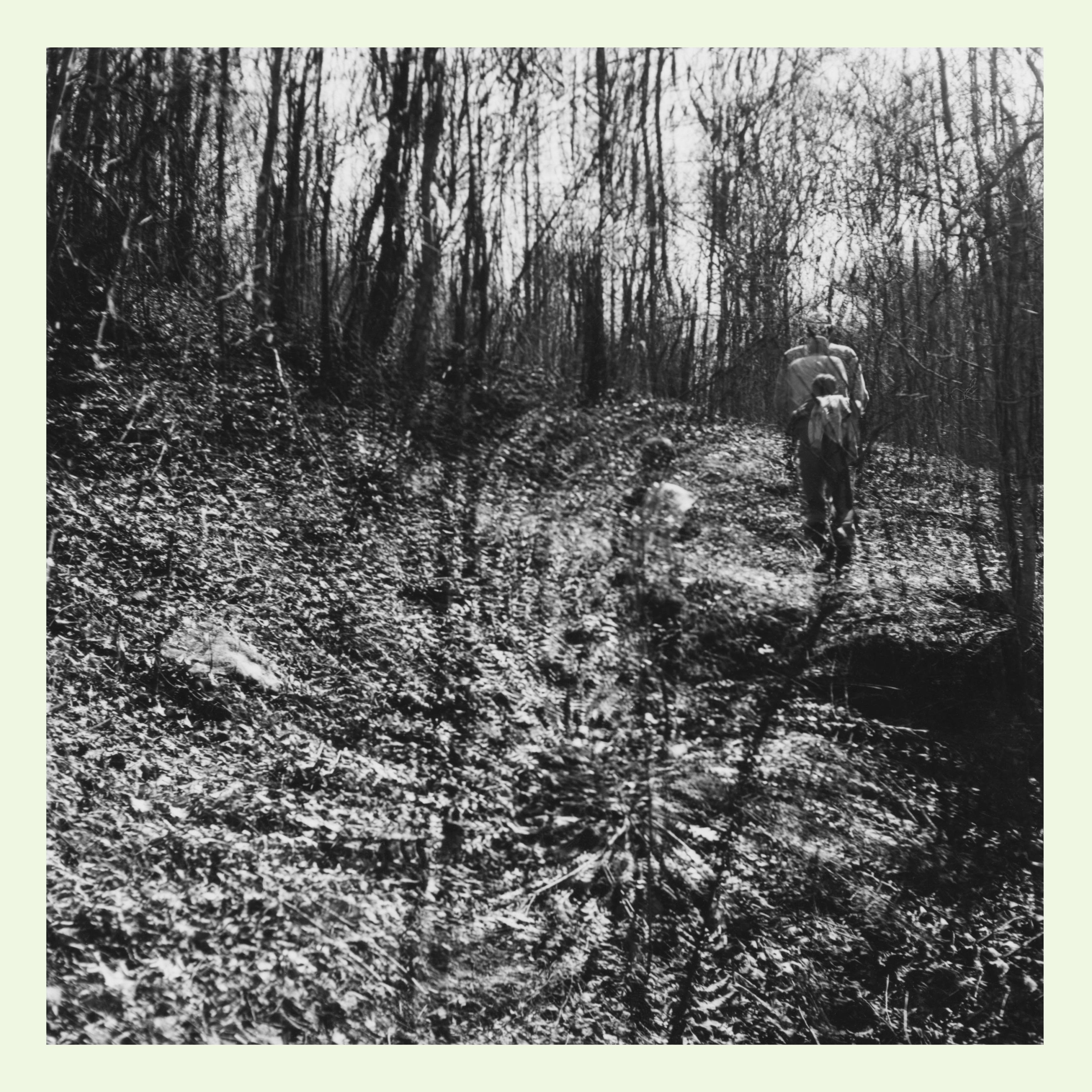 Interior Spring - Topographies