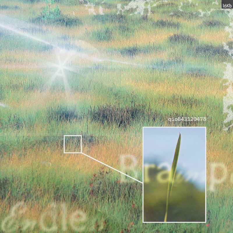 Endless Brainspill - Blue Ringed Baby & Kamī