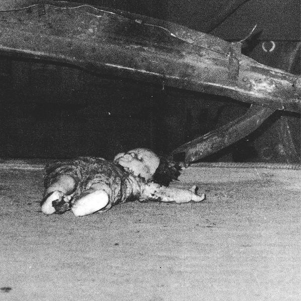 Albeit Albeit / Sibelius Spiders - Cicciolina Holocaust