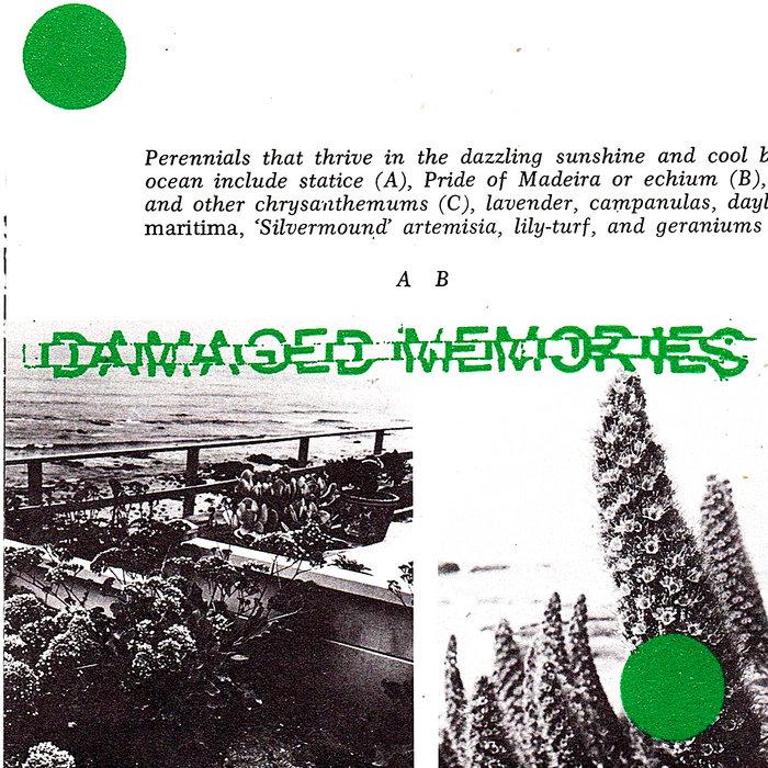 Damaged Memories Dub - Chlorine