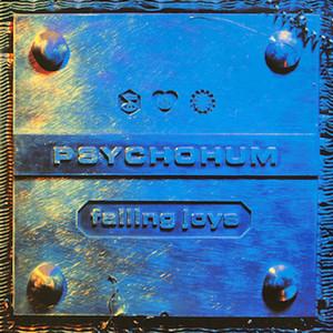 Make It Soon / Amen (Remix) - Falling Joys