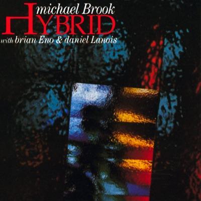 Hybrid - Michael Brook