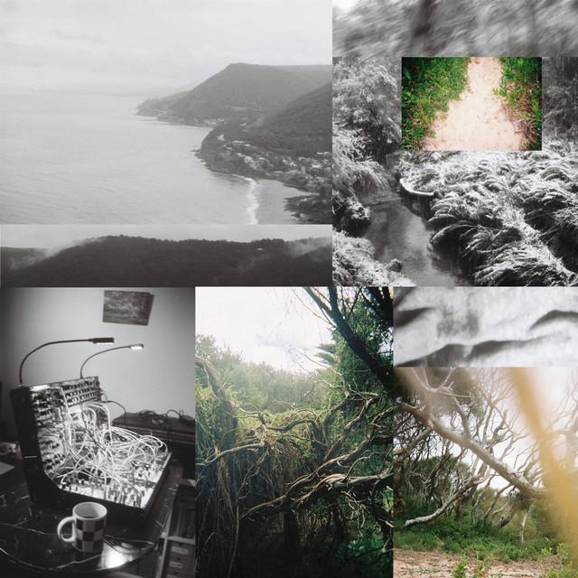 The Landscape Has Become A Bed - Low Flung