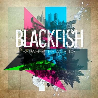 Between the Worlds - Blackfish