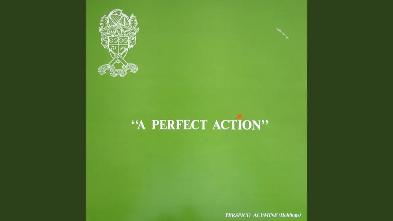 A Perfect Action - Perspico Acumine (Holdings)