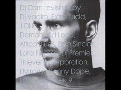 "Love Junkee" Dilla Remix - DJ Cam & Cameo