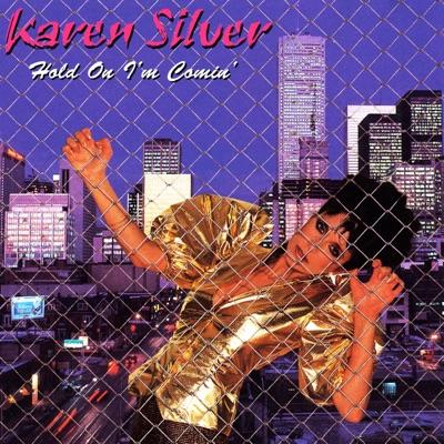 Hold On I'm Comin' - Karen Silver