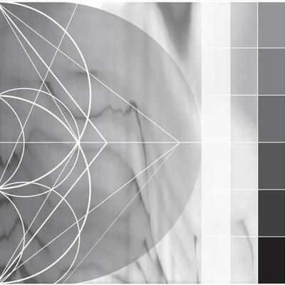 Assimilating the Shadow - Ricardo Donoso