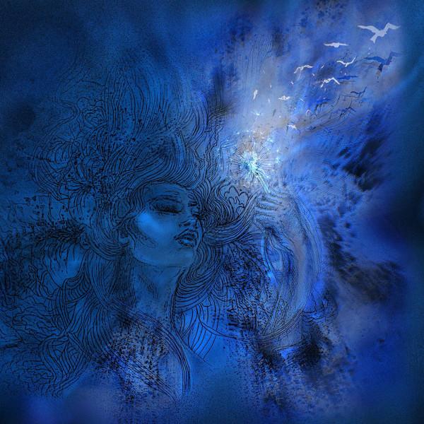 She/ Wild Flower - Control of the Going