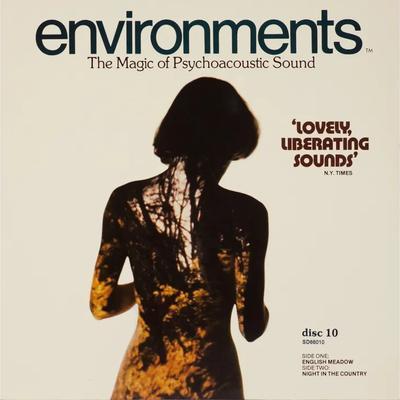 environments 10 (NUM5110) - Syntonic Research Inc.