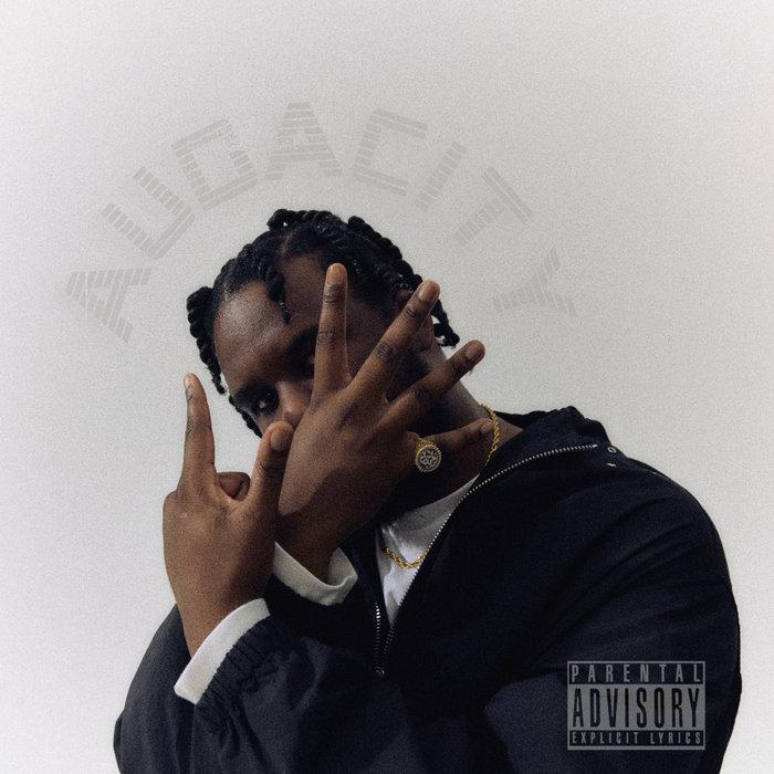 AUDACITY - Novelist