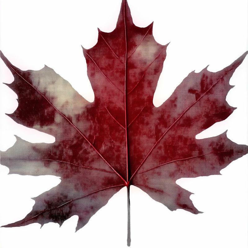 Oh Canada - Mackeeper